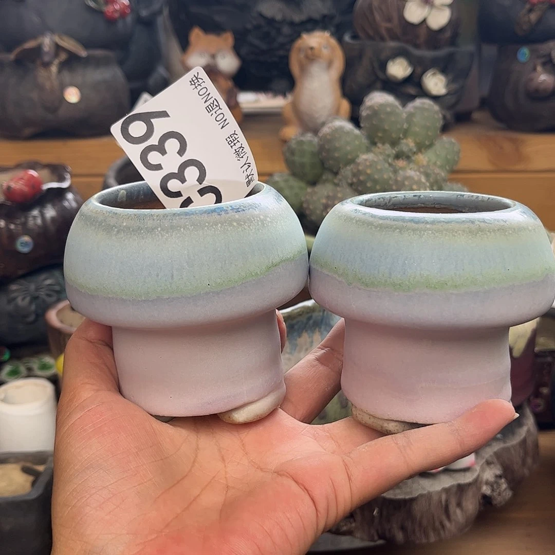 哈哈这不是很有意思吧339