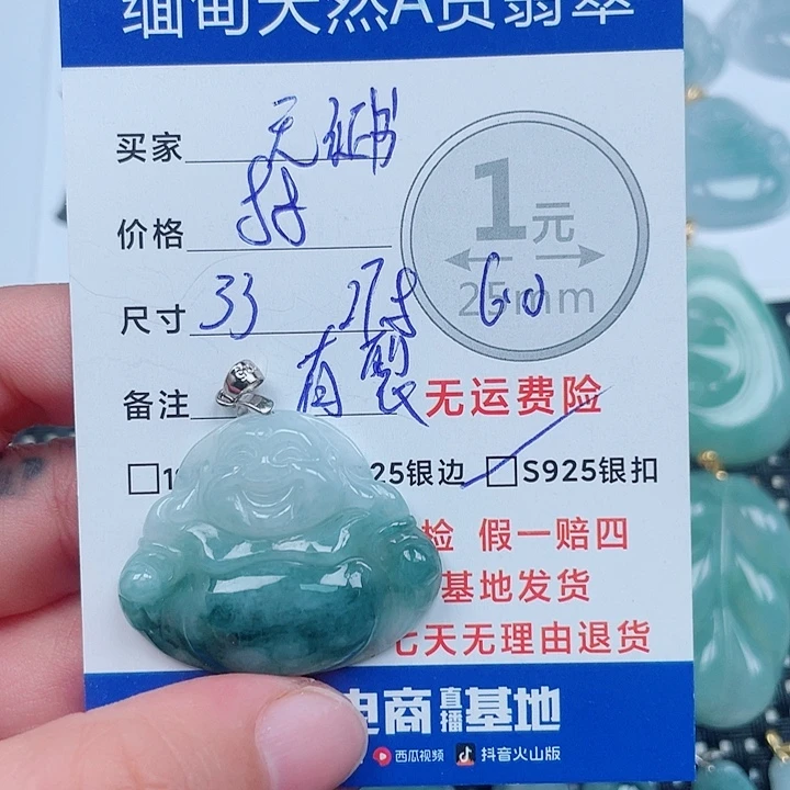 翡翠银S925镶嵌颈饰