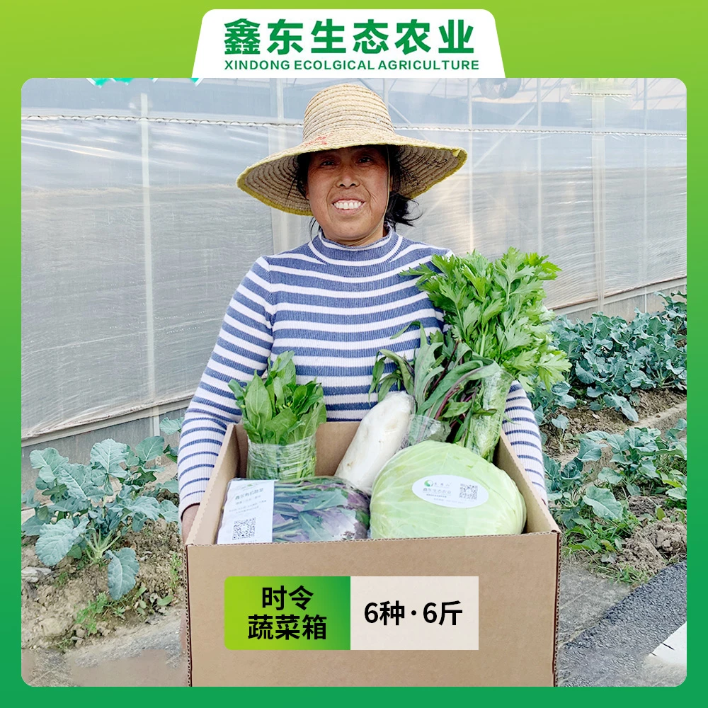 时令蔬菜箱 （6种，6斤左右）短期吃口感，长期吃健康，包邮