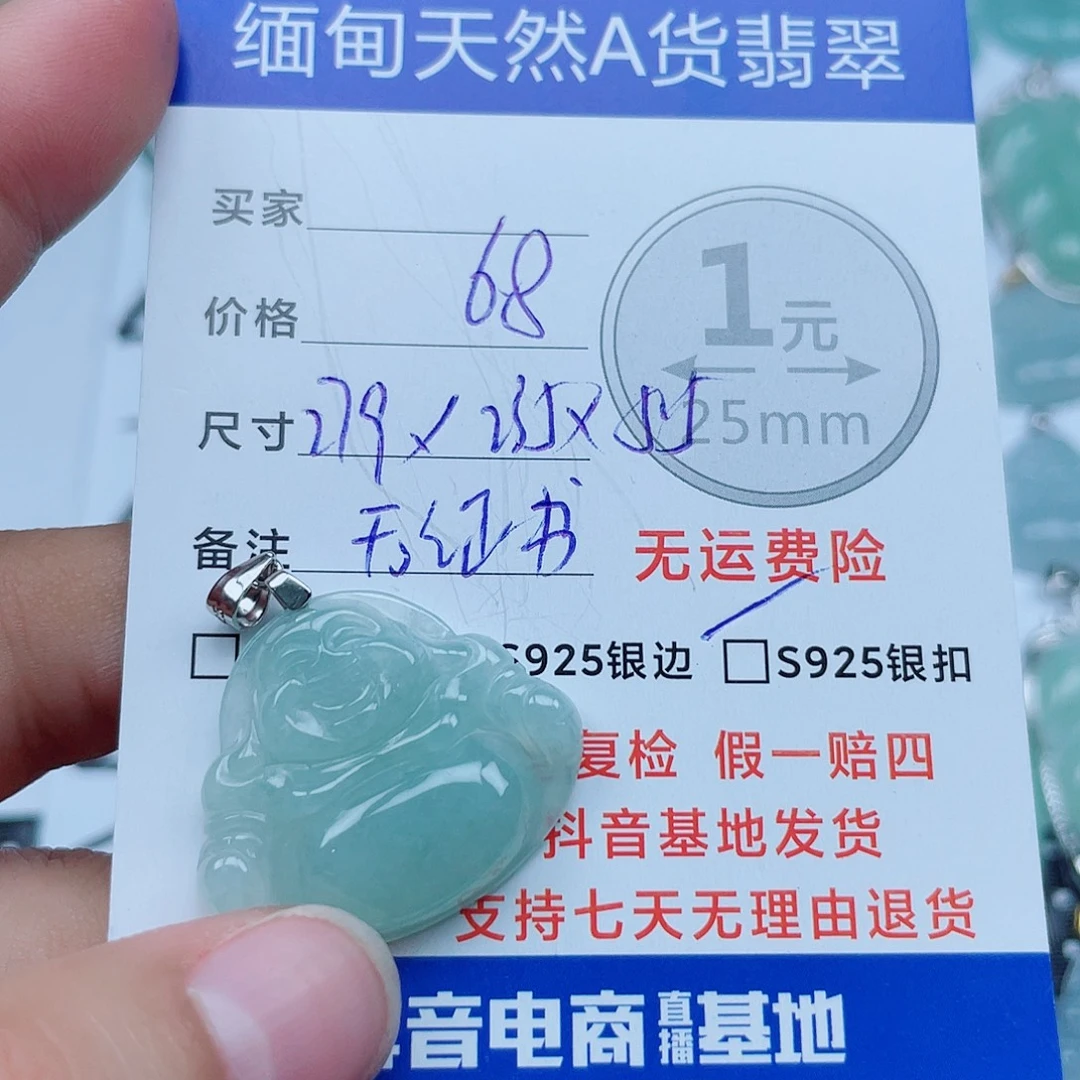 翡翠银S925镶嵌颈饰翡翠