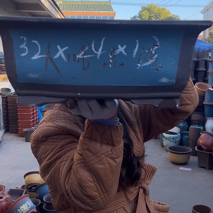 31蓝马槽花盆花盆花盆花盆