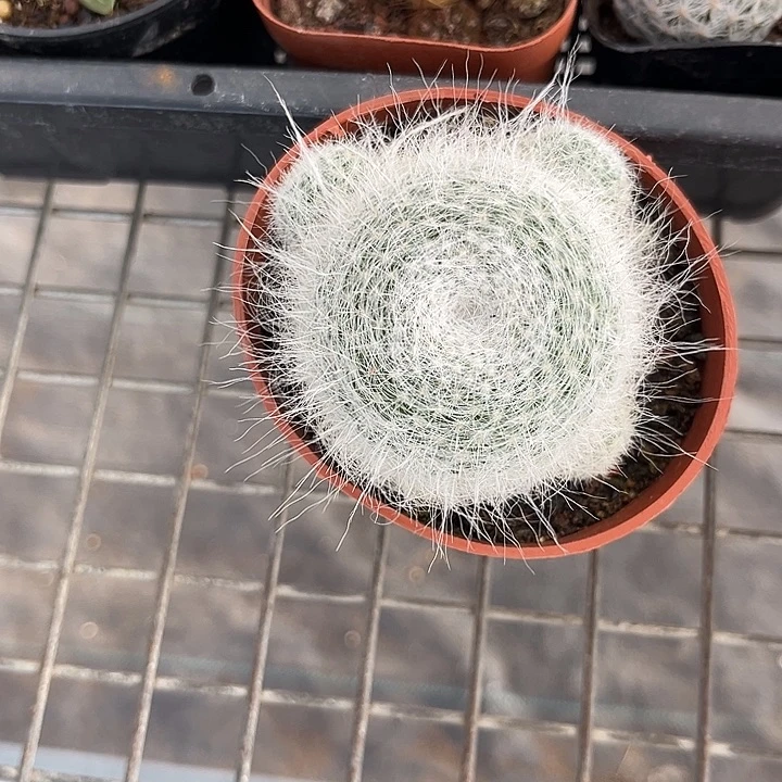 我也不知道我为什么会这么