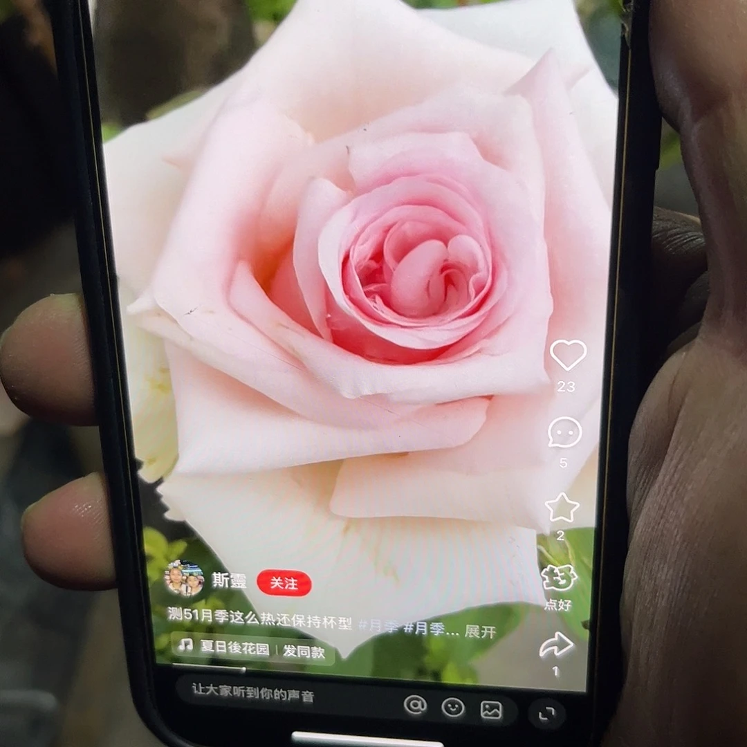 无花朵——-测试51 福利款