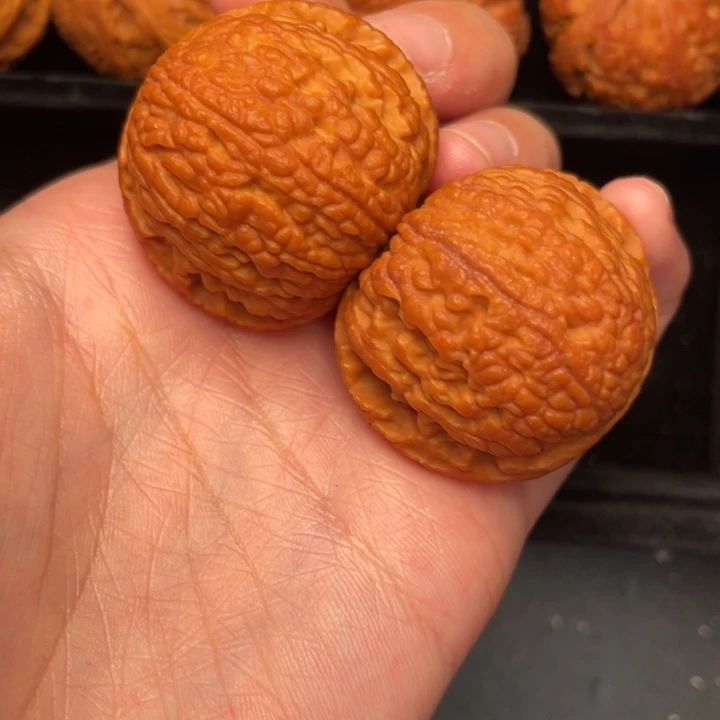 秦岭野生核桃文玩