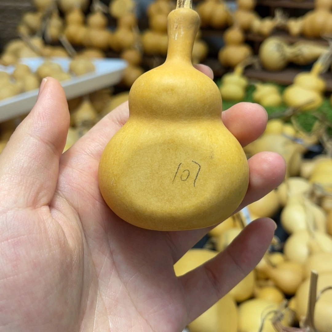 闪拍葫芦链接-107号品