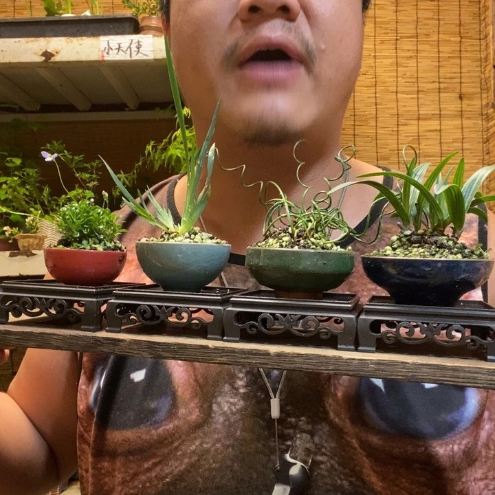 一物一拍所见即所得332