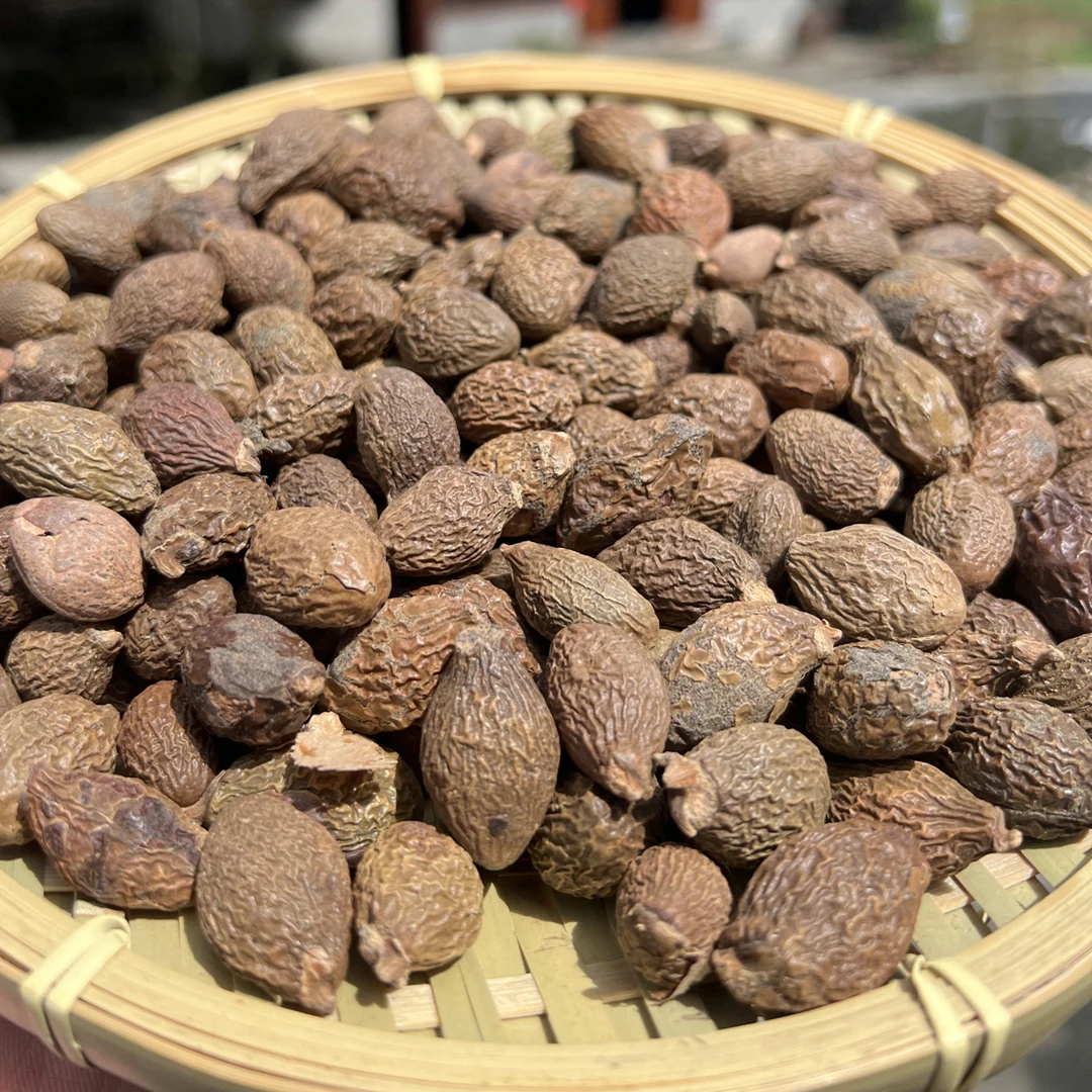 正宗农家头茬新货胖大海精选正品滋补养生原料可泡水