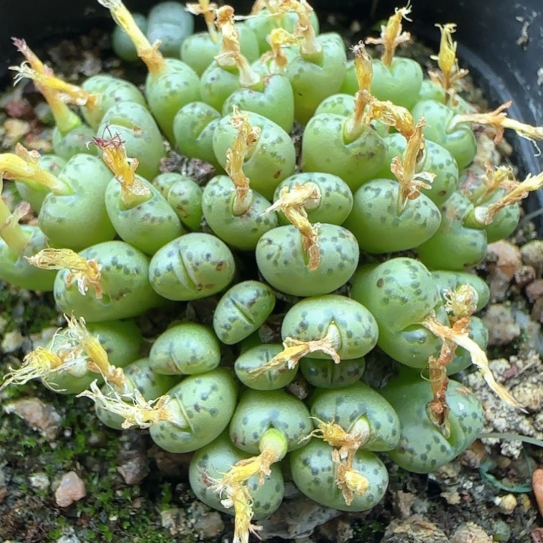 哈哈哈哈哈哈哈54769