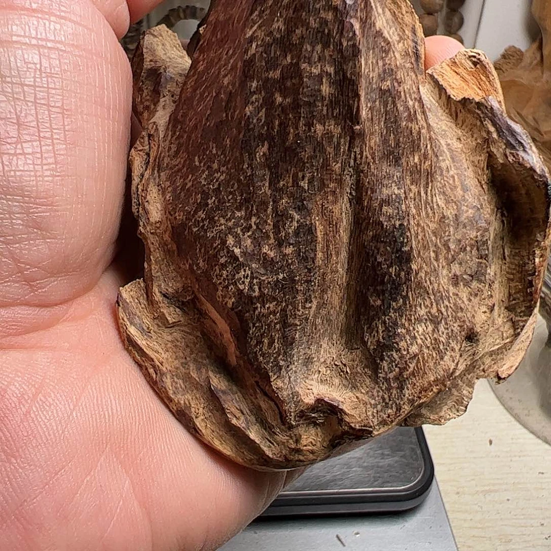 沉香沉香碎屑文莱沉香原料55克