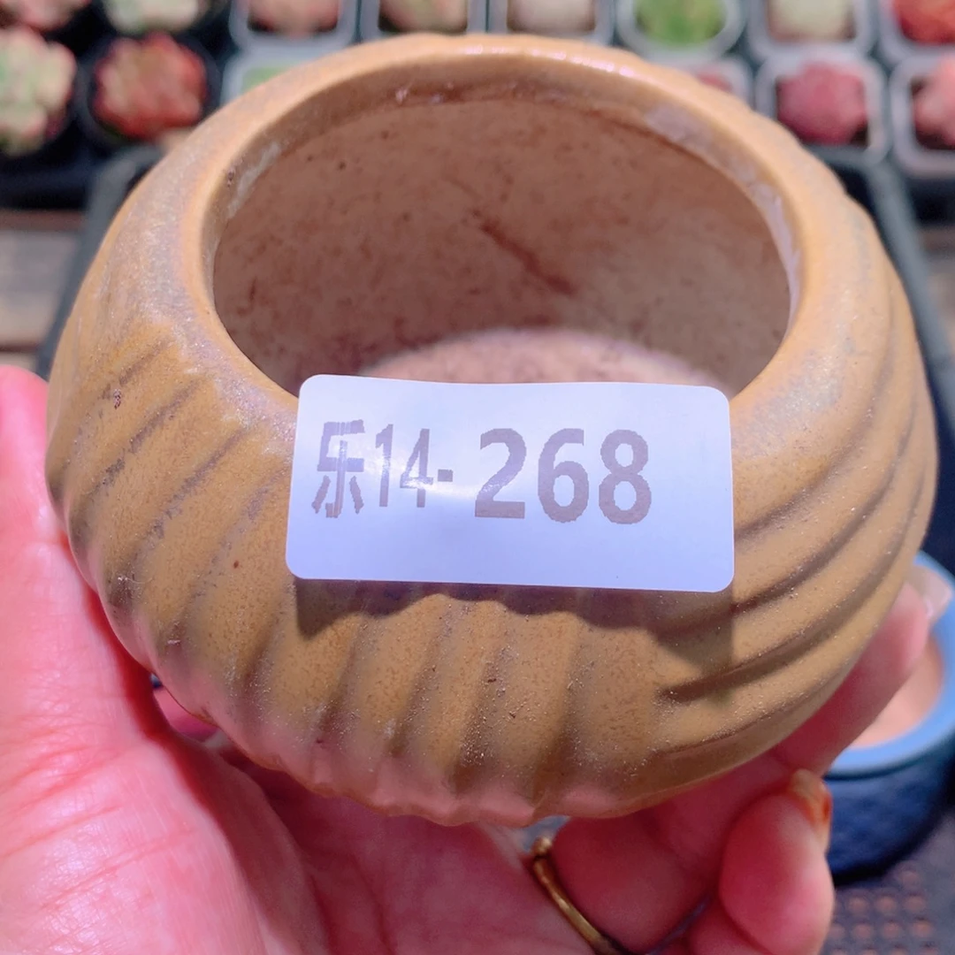 乐然14-268 花盆