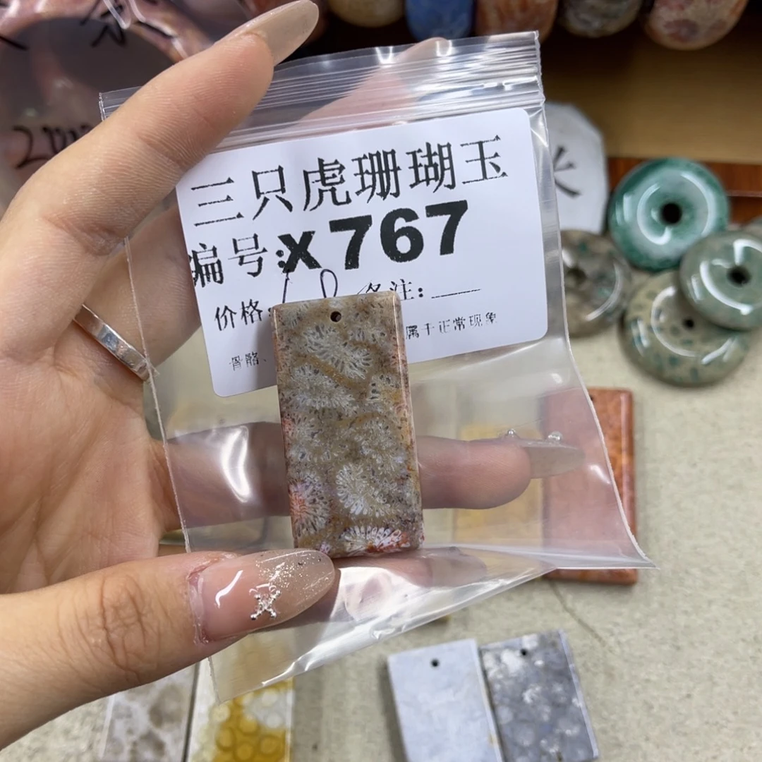 R***X硅化珊瑚（珊瑚玉）未镶嵌h