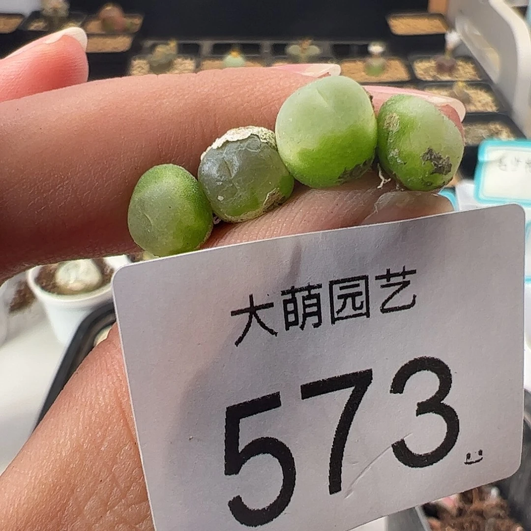 一物一拍。      有疤福利573