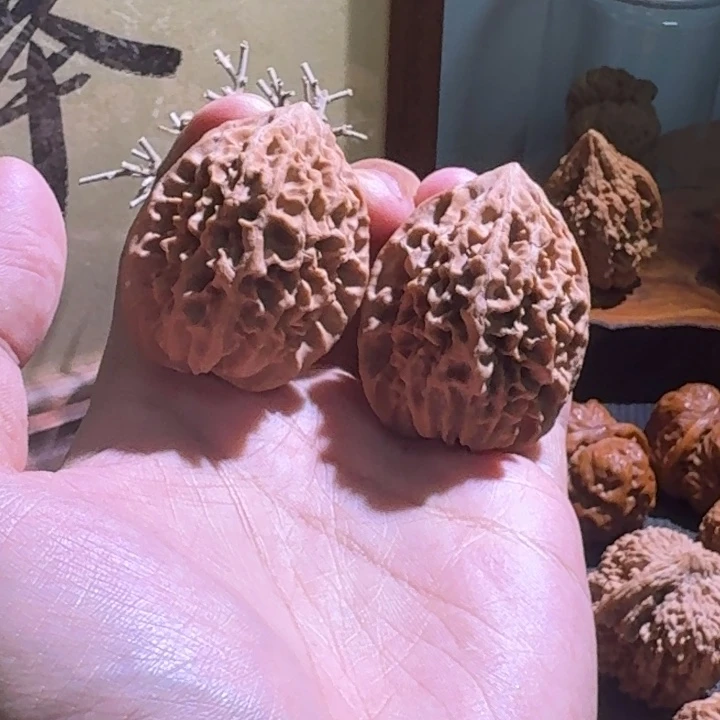 桃核吊坠招财鼠全品40