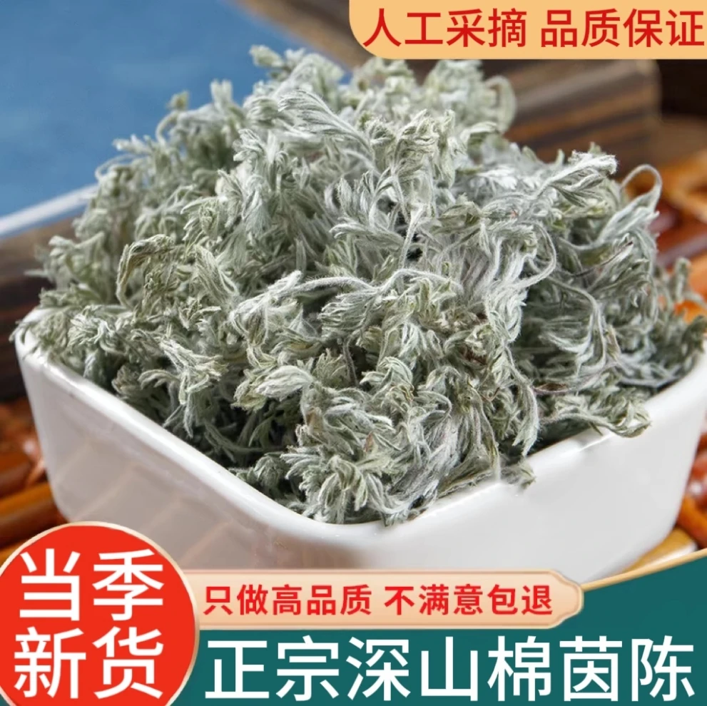 正宗绵茵陈干货泡水喝三月采摘茵陈白蒿可搭配红枣大枣茶蒲公英茶
