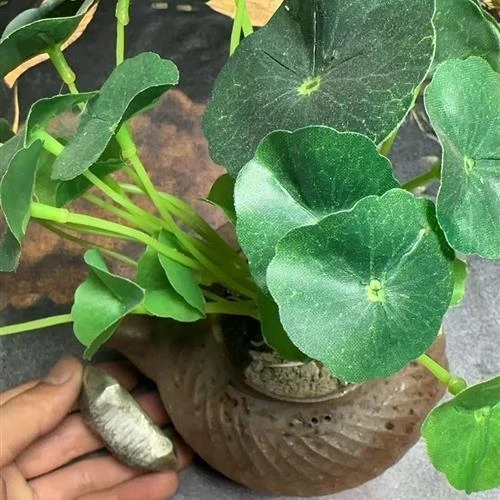 21-精选家居摆件-现代仿古摆件-SG