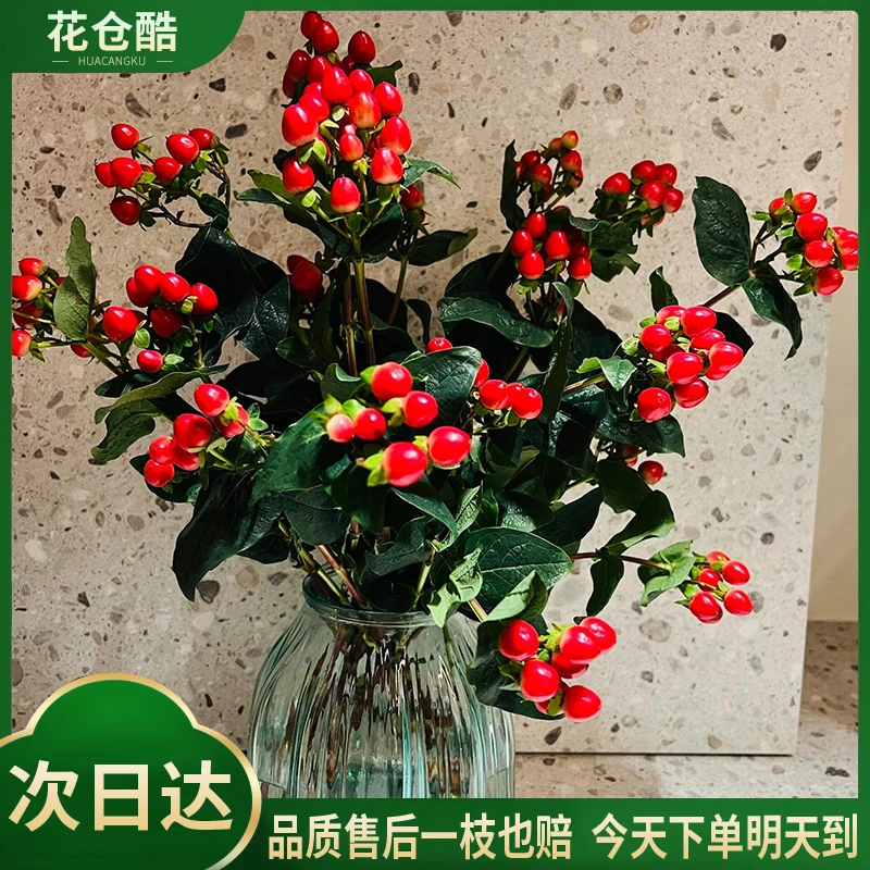 红豆5枝鲜花配花切花家居生活花相思-今天下单明天送上门-任意下单2份花包邮配送