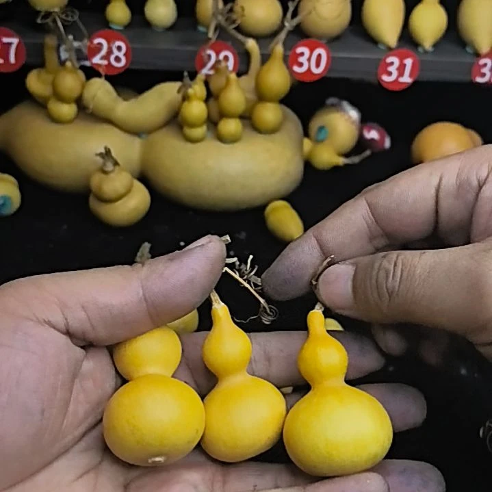 27号葫芦链接，默认微瑕