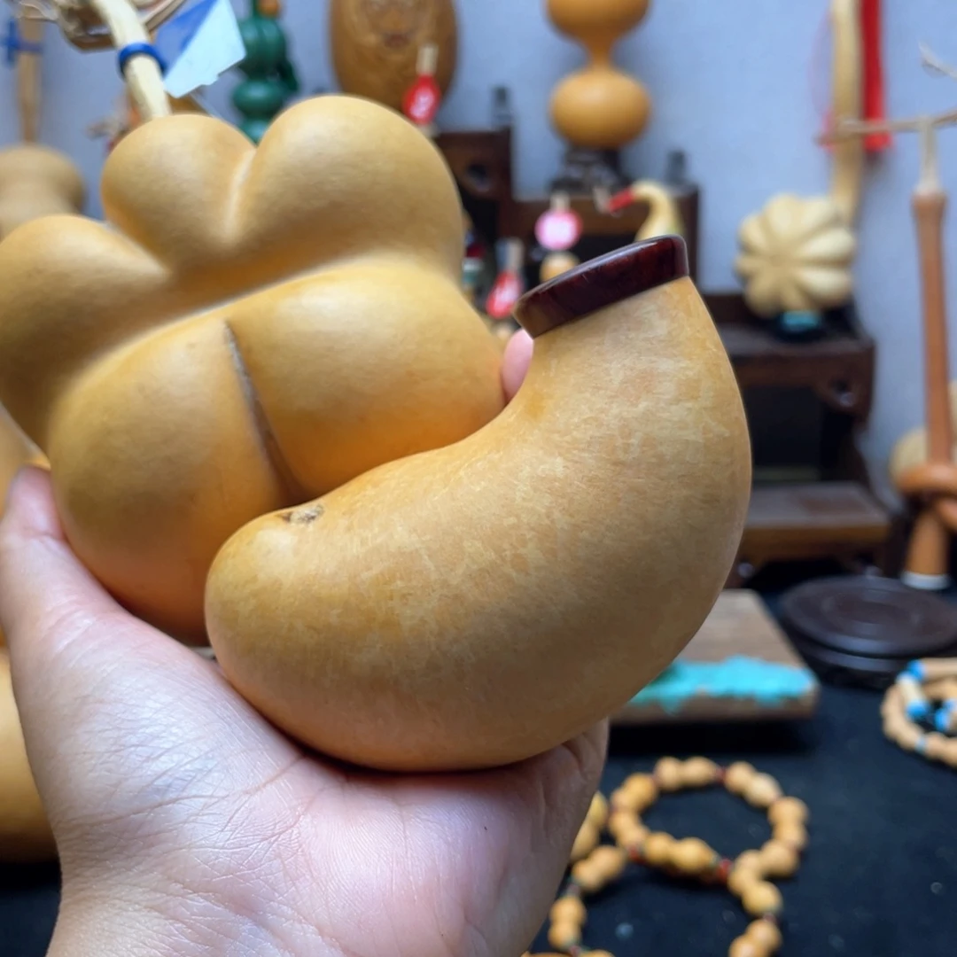金*果大自然的秘密是什么啊哈哈