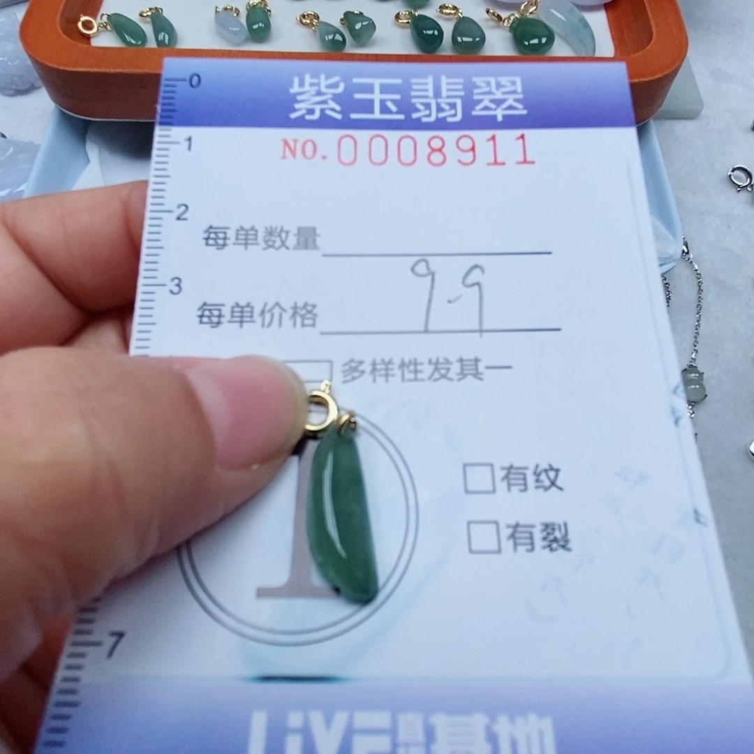 颈饰未镶嵌翡翠冰透随行