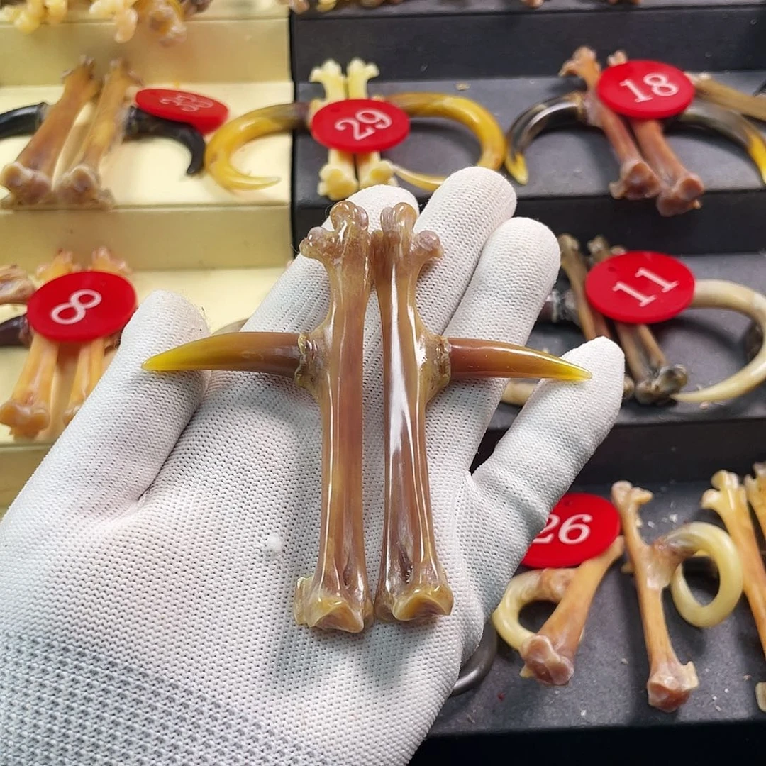 鸡骨（鸡脚）把件手把件