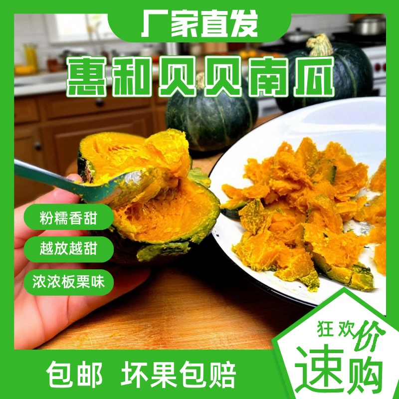 【挑食宝宝追着吃】惠和一号贝贝南瓜粉糯香甜、真贝贝南瓜