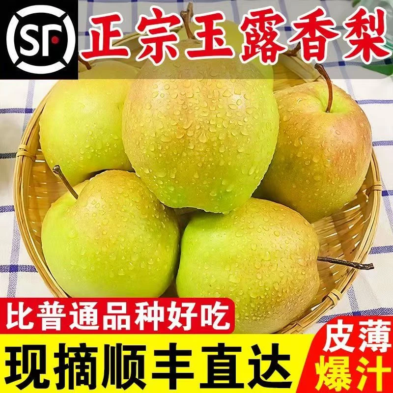 【顺丰包邮】正宗山西玉露香梨酥脆爆汁清甜可口当季新鲜孕妇水果