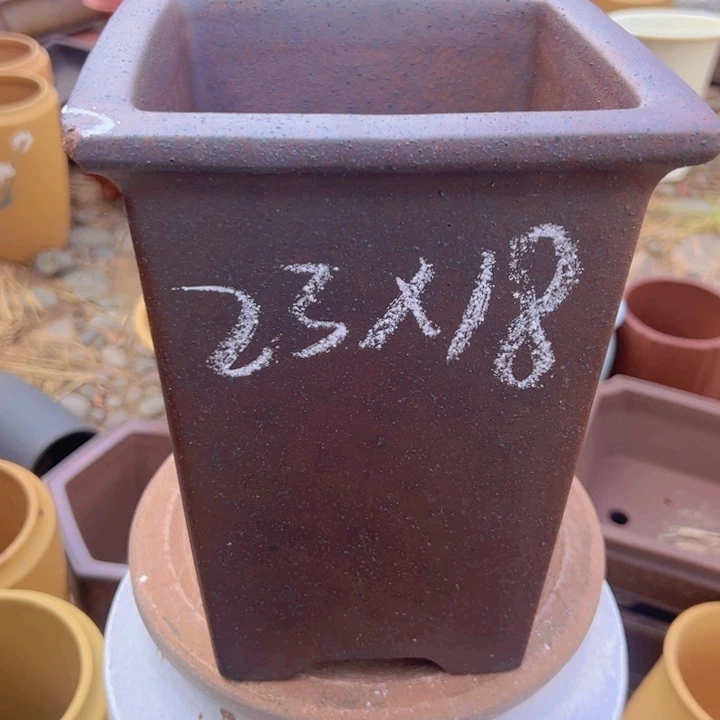 瑕疵深层次瑕疵才行吸血虫