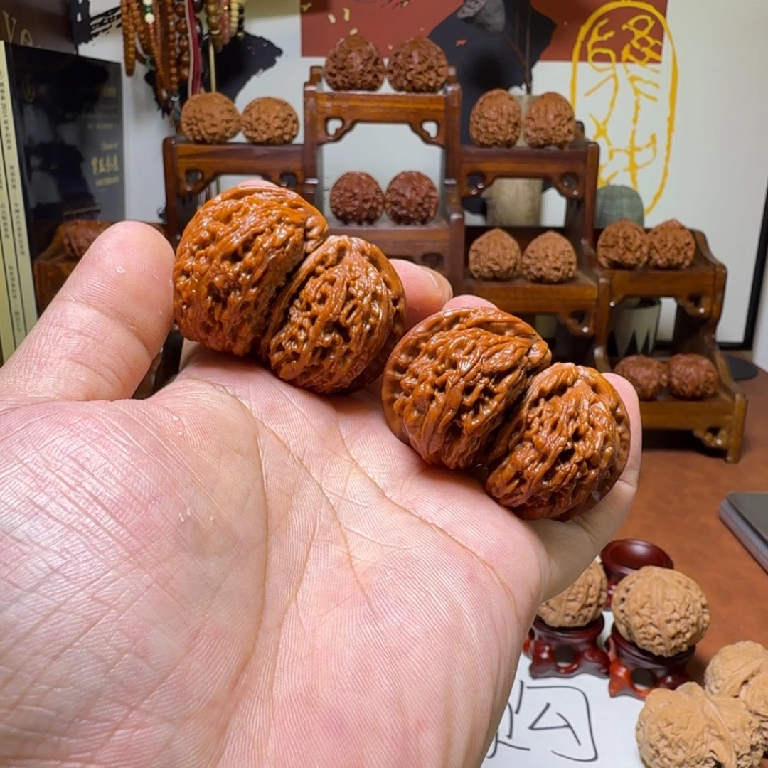 道哥俱乐部f白狮子连体54+