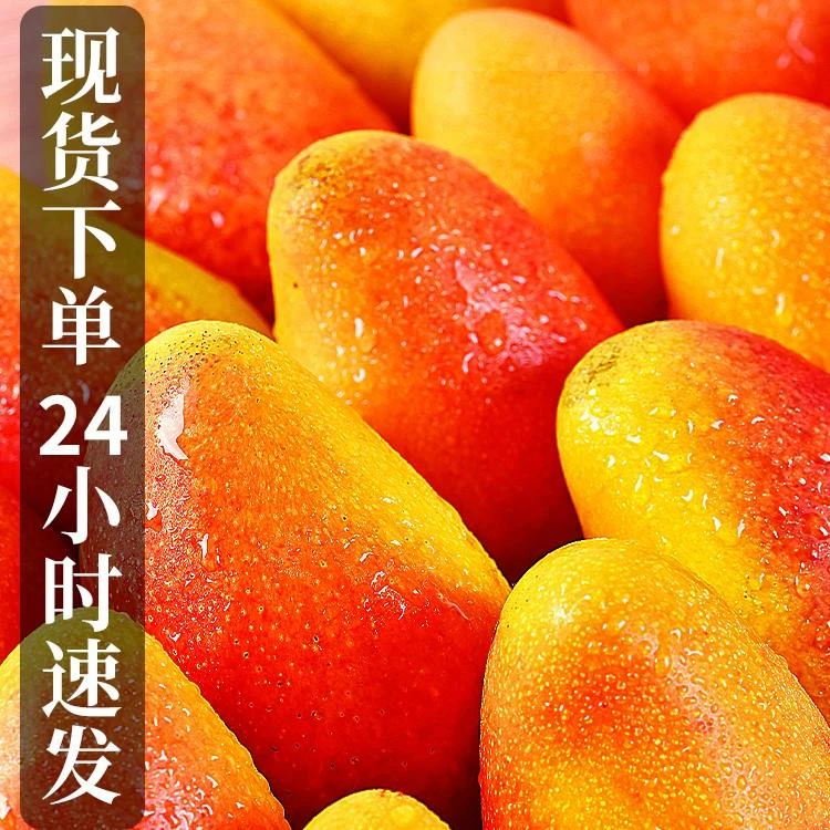 海南贵妃芒新鲜芒果3-9斤水果当季整箱树上熟红金玉青煌台芒辣椒