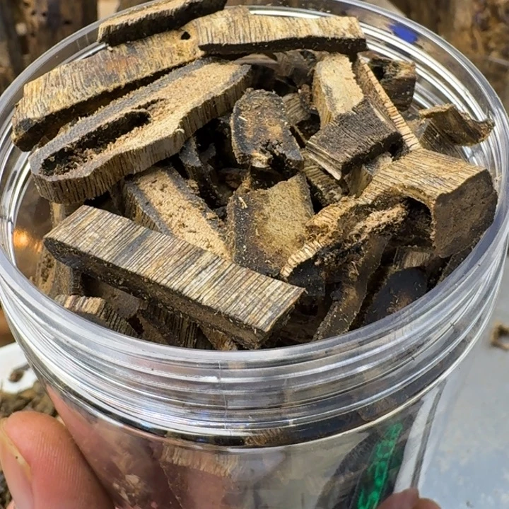 活***腾沉香碎屑沉香张勺子高油碎料100克