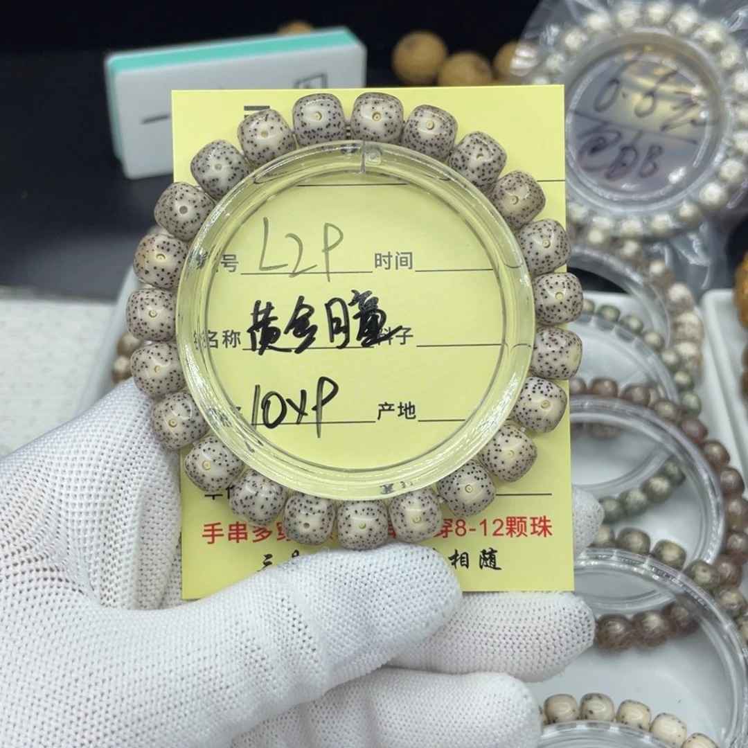 菩提籽类L黄金瞳，