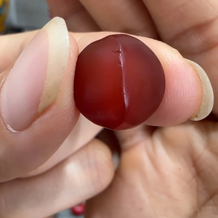 瓷片瓷器瓷器瓷器瓷器