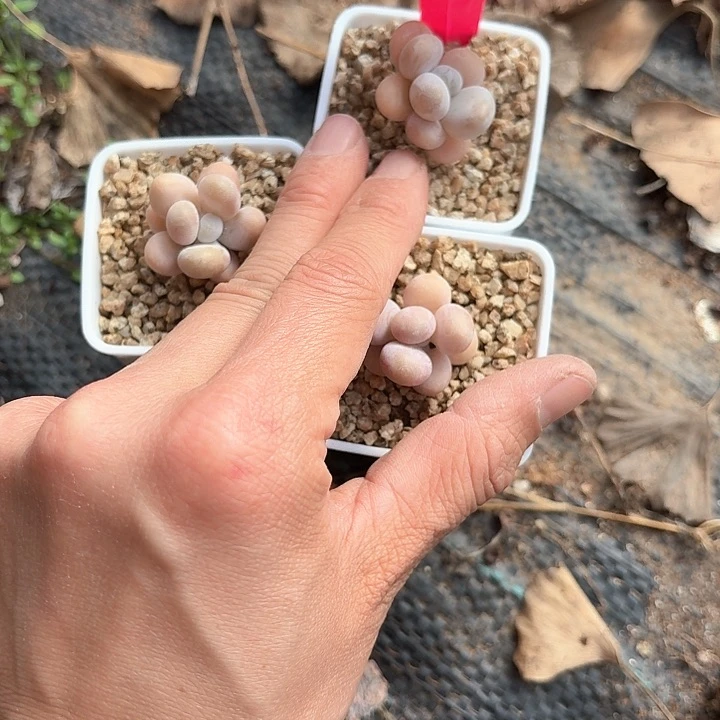 一**一x h x z j j d fj 136