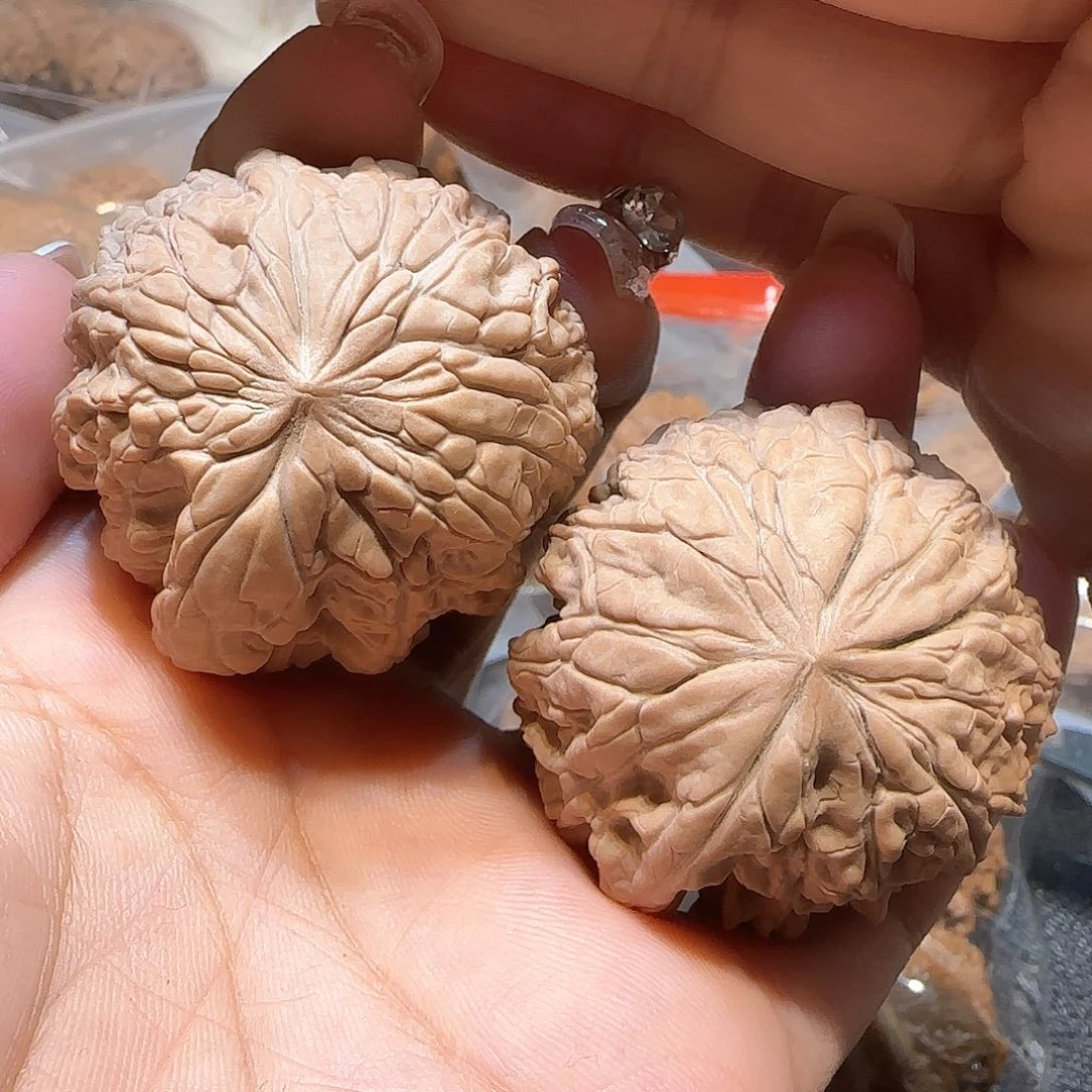 文玩核桃吊坠骑****狗44暴雪一帆风顺