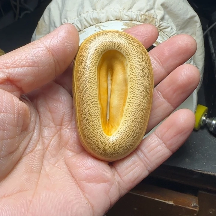 平***福竹根竹隔一物一拍