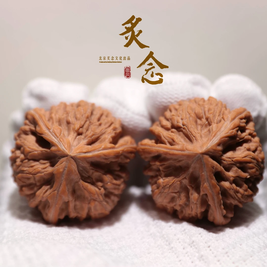 御龙粗筋正奔 · 42 一物一图 文玩好物 文山正奔