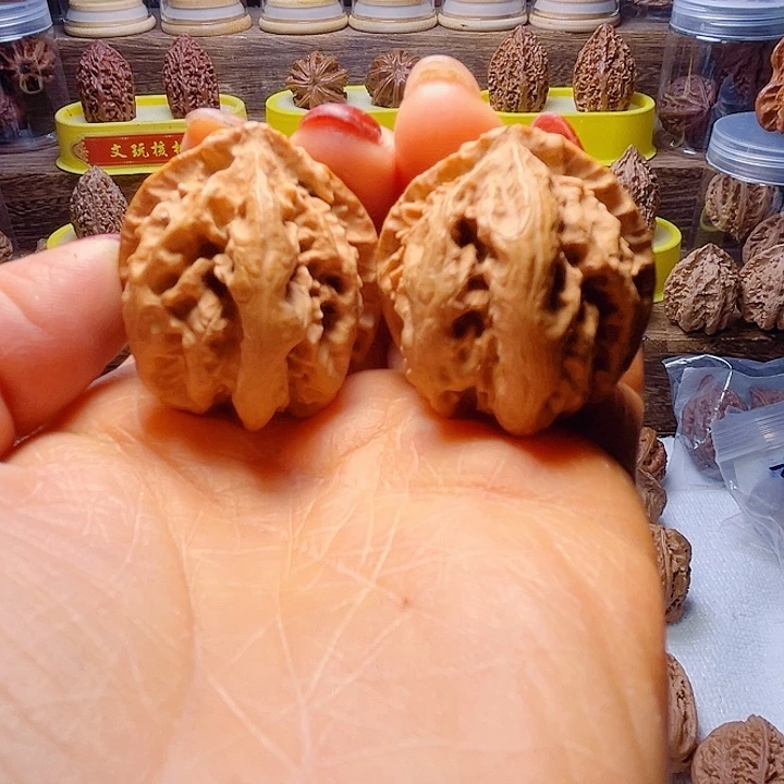 核桃40号车放漏霸王龙