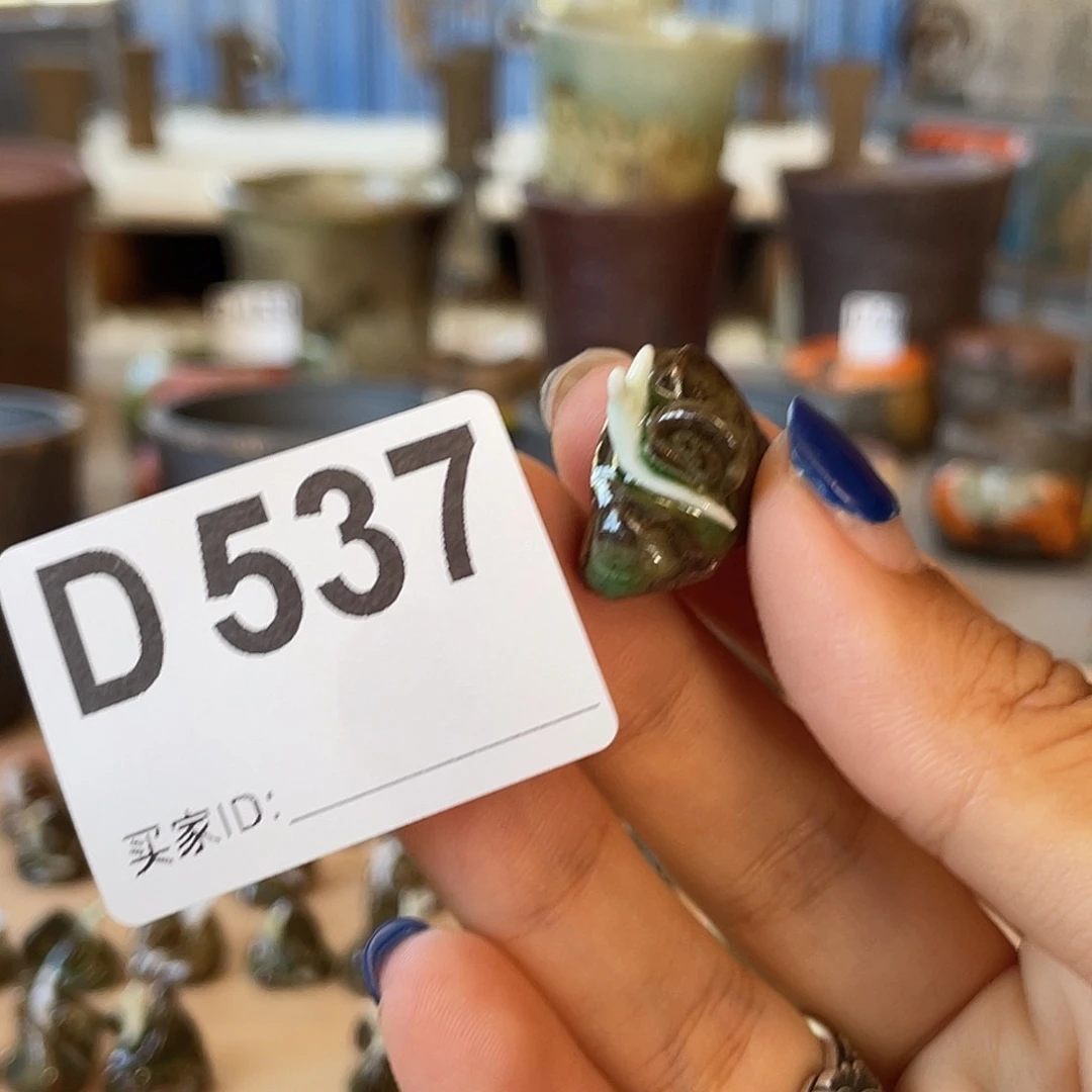 孤品 全手工蜗牛压盆石 高2左右