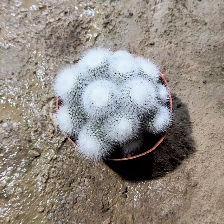 X***Y哈哈哈哈哈哈哈哈哈哈