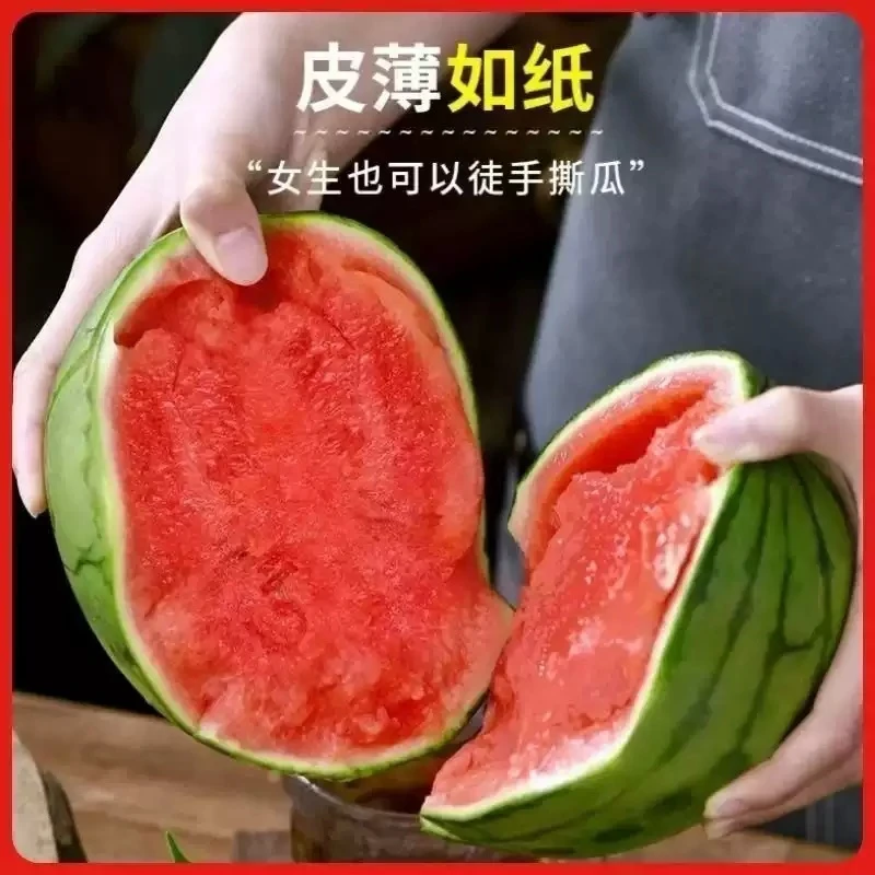【供销社专属】正宗2k手剥小糖丸西瓜冰糖子西瓜皮薄多汁小西瓜