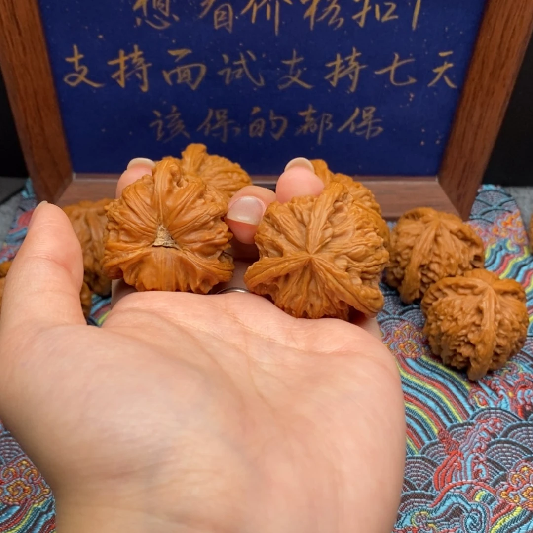 【闪购商品】A***猛白狮