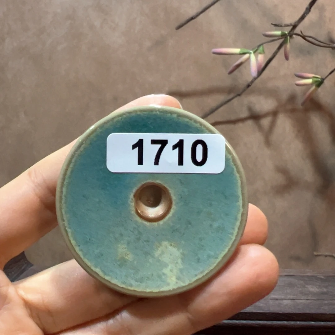 罐诸****?1710000000000