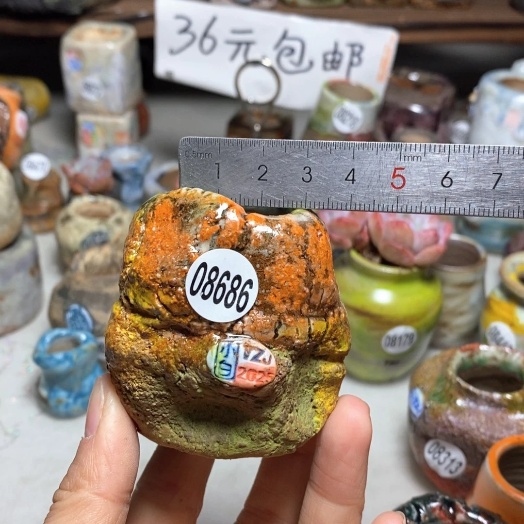 花盆拍3送一个小礼物