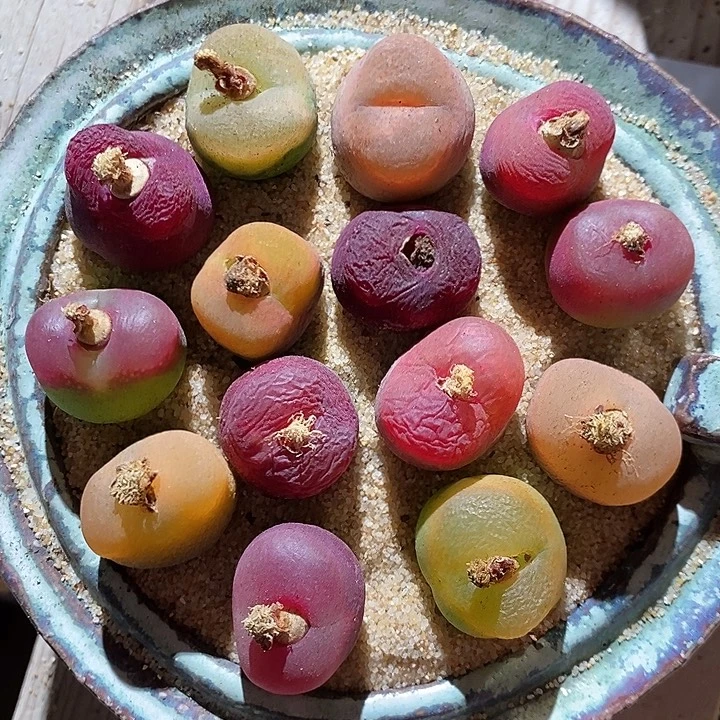 29321。  一组蟠桃。