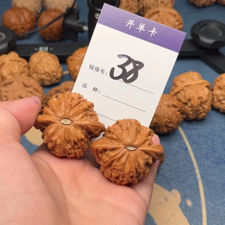 吊坠文玩核桃用****1磨盘 42全品 38