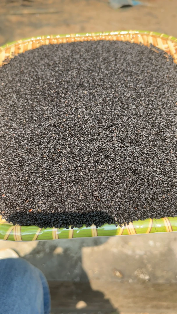 大卖-兰香子-非菇