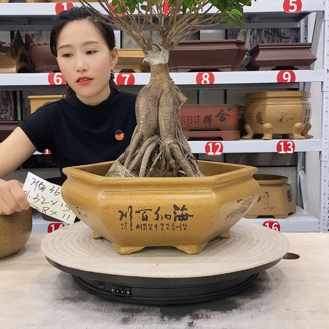 紫砂花盆紫砂花盆