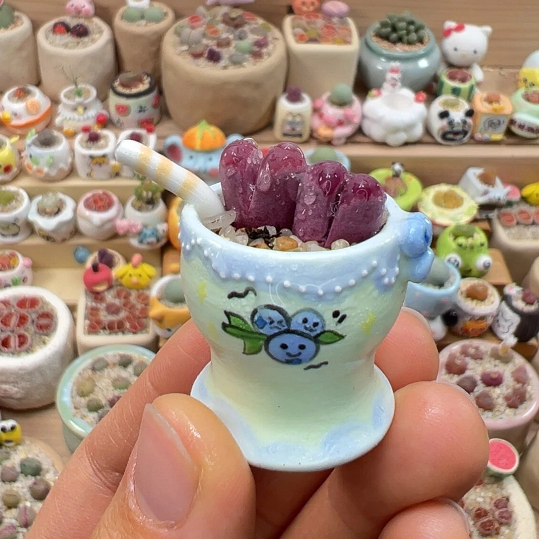 多肉植物113号拇指盆