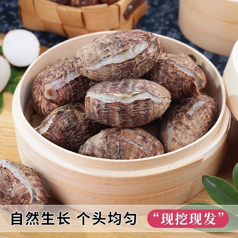 新鲜现挖农家种植牛奶芋头粉糯香甜当季应季蔬菜营养丰富