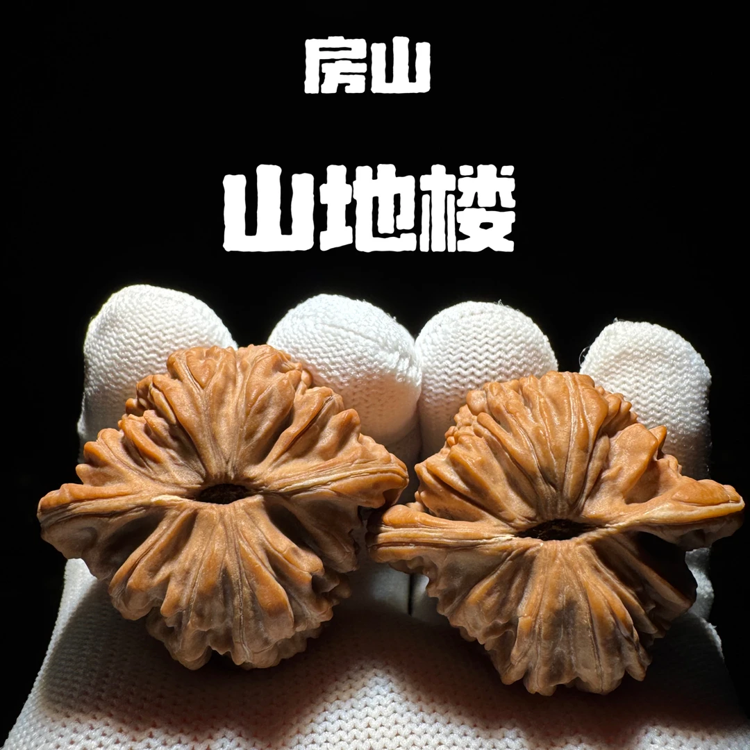 山地四座楼原桩山地果